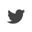 Twitter Twitter